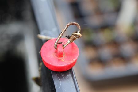 Hollow sink or bathtub plug / Bouchon de lavabo ou bac de lavage