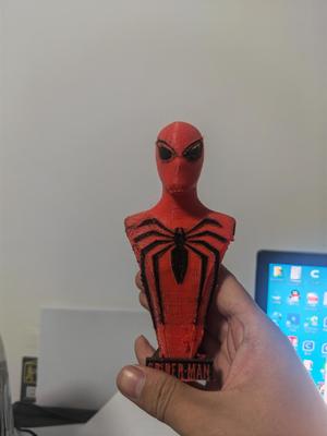 Spider-Man Red and Black Multicolor Model