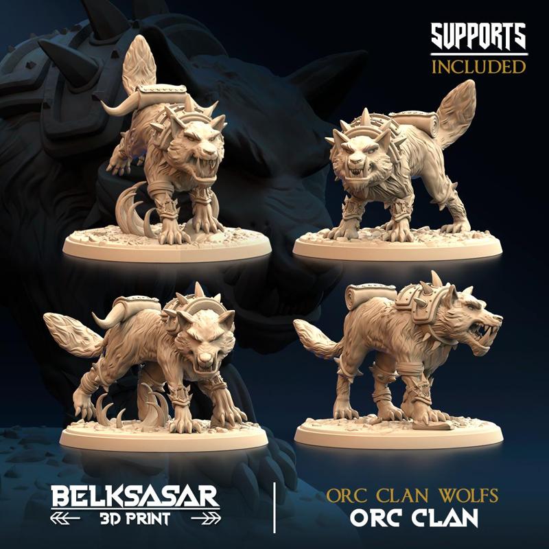 Wolfs - Storm Rider Set x4