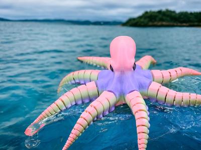 TENTAPUS - 360 ARTICULATED OCTOPUS