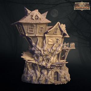 The Witch House - A Terrifying Swamp House
