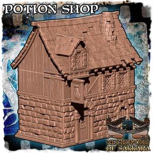 Medieval and Fantasy Potion Merchant and Shop
