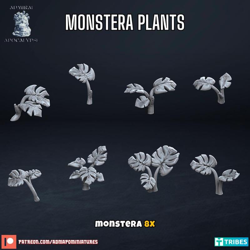 Monstera Plants (Pre-supported)