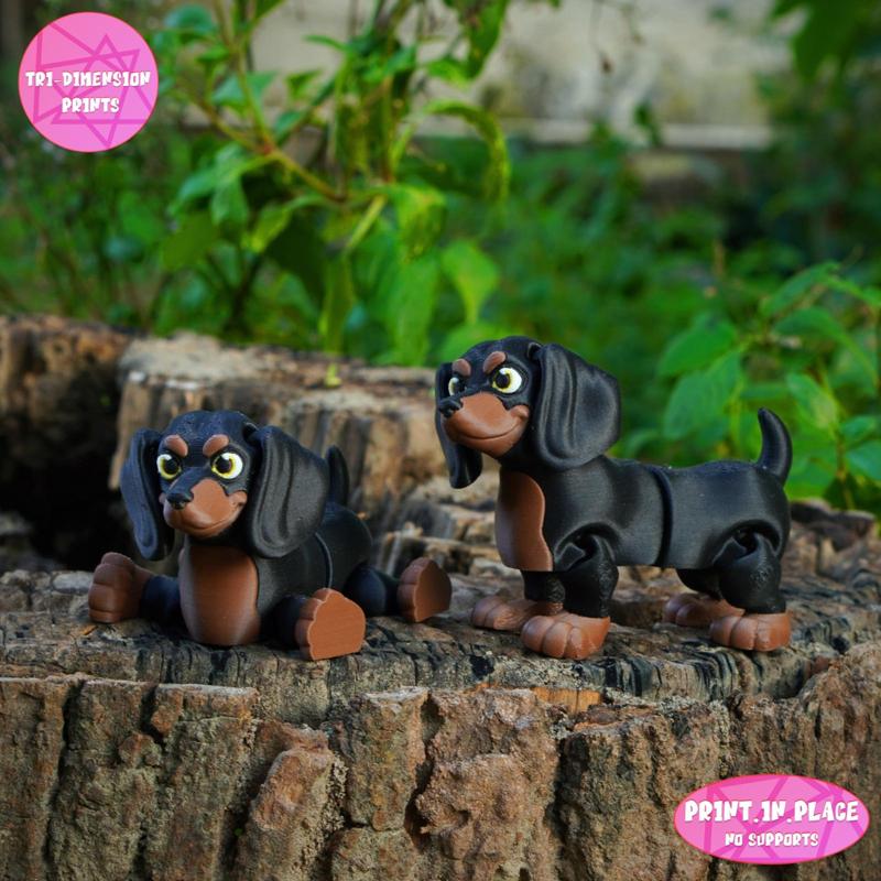 July Exclusive Flexi Dachshund Dog