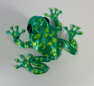 ARTICULATED POISON DART FROG