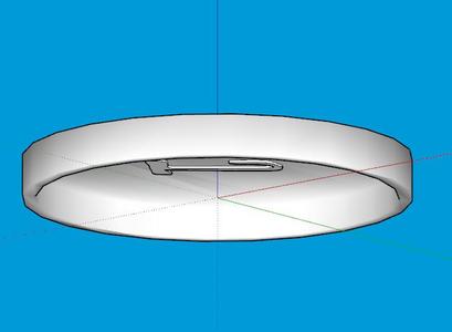 Flying Disk