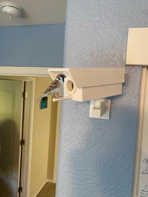 Security Camera Birdhouse