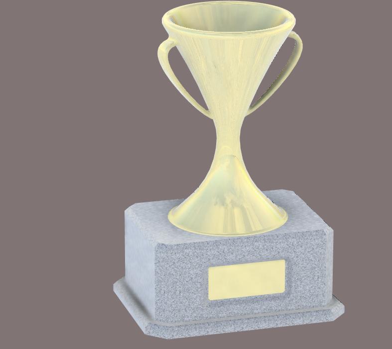 Customizable Trophy