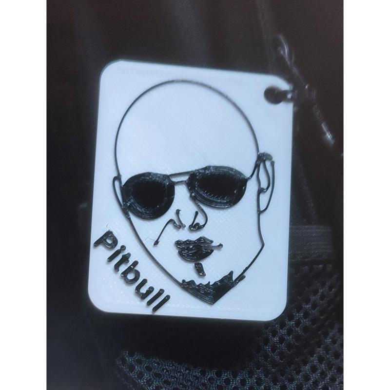 Pitbull keychain
