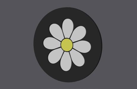 Daisy Flower - Round & Square Coaster