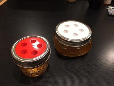 Mason Jar Fruit Fly Trap