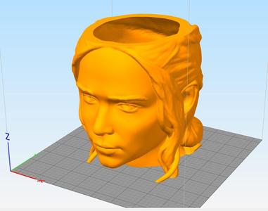 Daenerys flowerpot