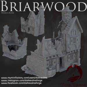 Dark Realms - Briarwood - House 6 Ruin