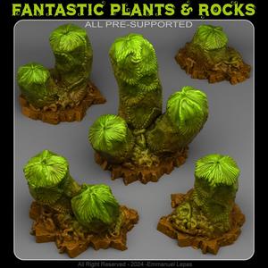 CACTUS FROM MARS