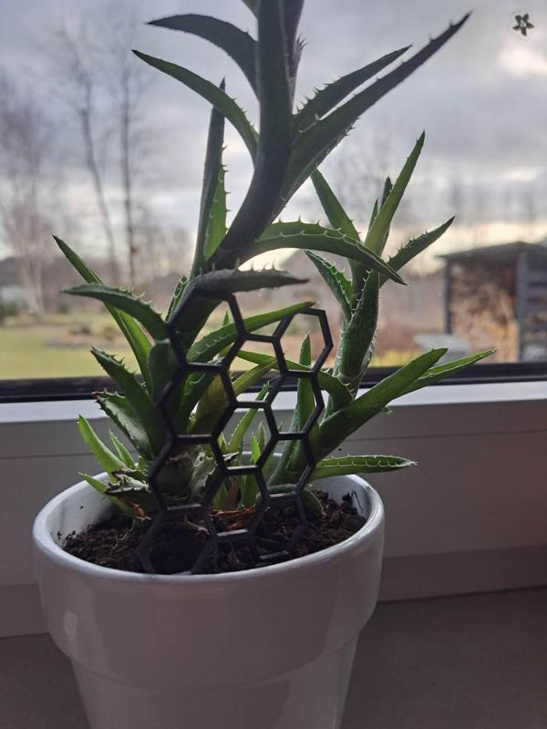 Hexagonal Flower Support