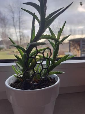 Hexagonal Flower Support