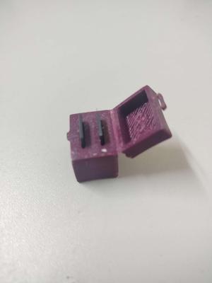 2 sd cards container