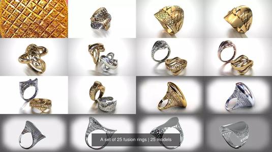 A set of 25 fusion rings 3D Model Collection
