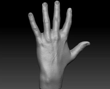 Realistic hand
