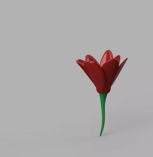 Freesia flower