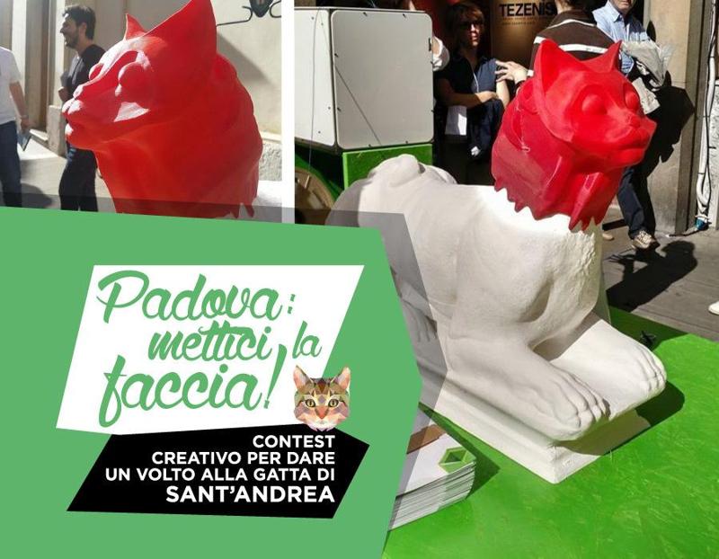 Change the head of the "Gatta di Sant'Andrea!"