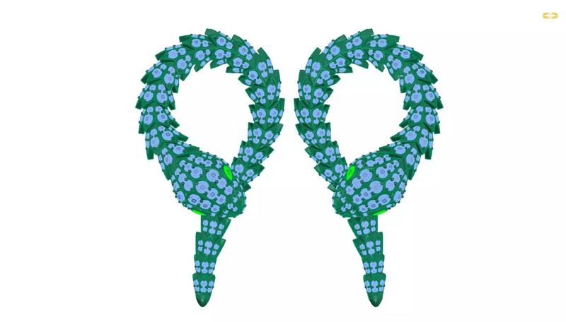 earrings Snake