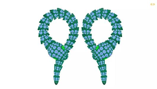 earrings Snake