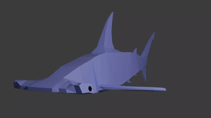 Great hammer head shark