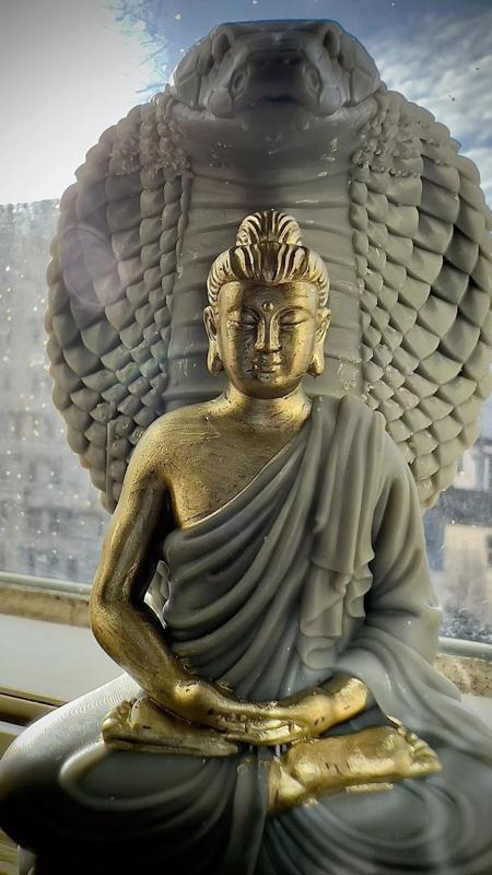 Buddha Shakyamuni sitting on the snake