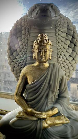 Buddha Shakyamuni sitting on the snake