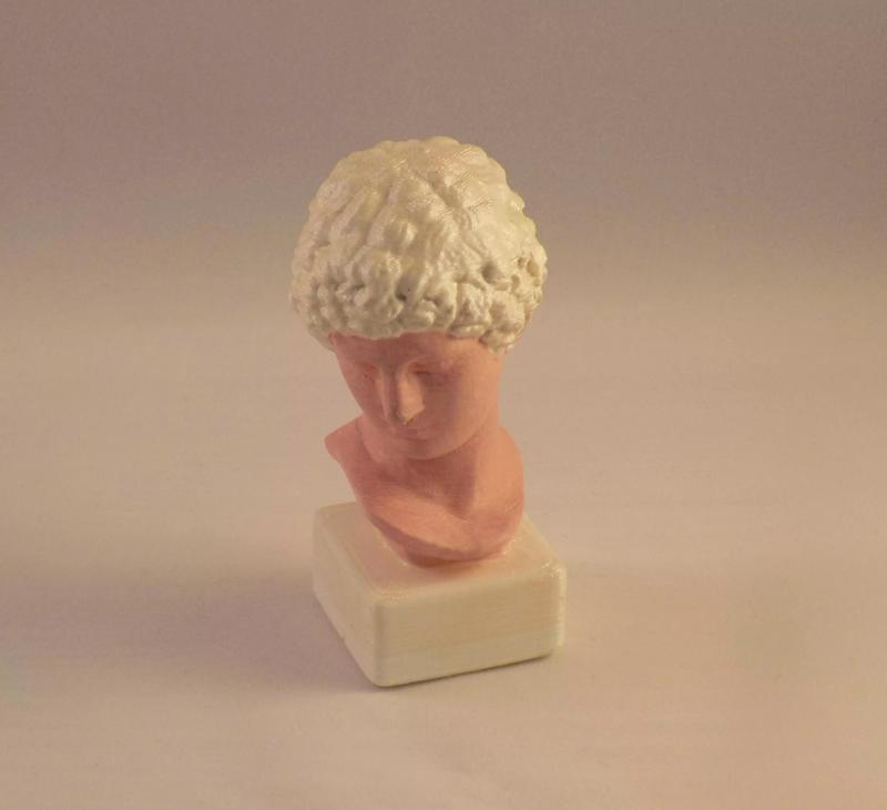 man bust