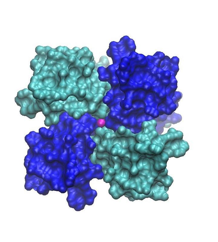 Potassium Channel KcsA