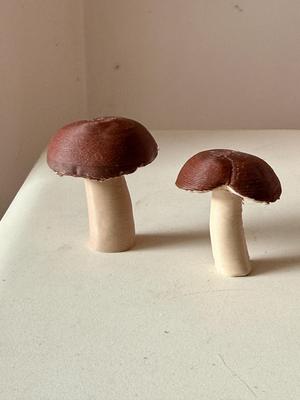 2 real Burgundy mushrooms - scanned