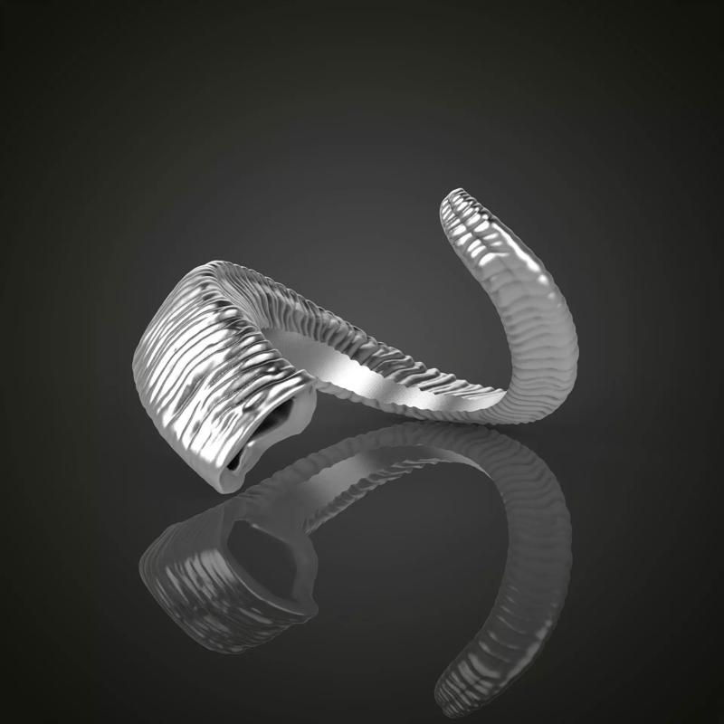 Horn ring