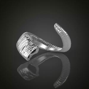 Horn ring