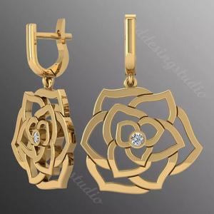 Earrings rk14