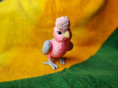 Galah