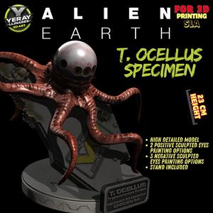 T. Ocellus Specimen - Alien Earth