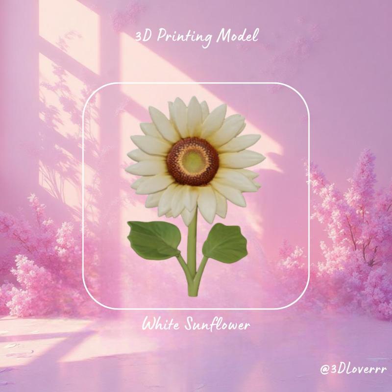 White Sunflower