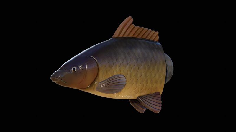 3D fish head carp / Cyprinus carpio / koi keychain / pendant