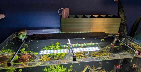 Top tank filter
