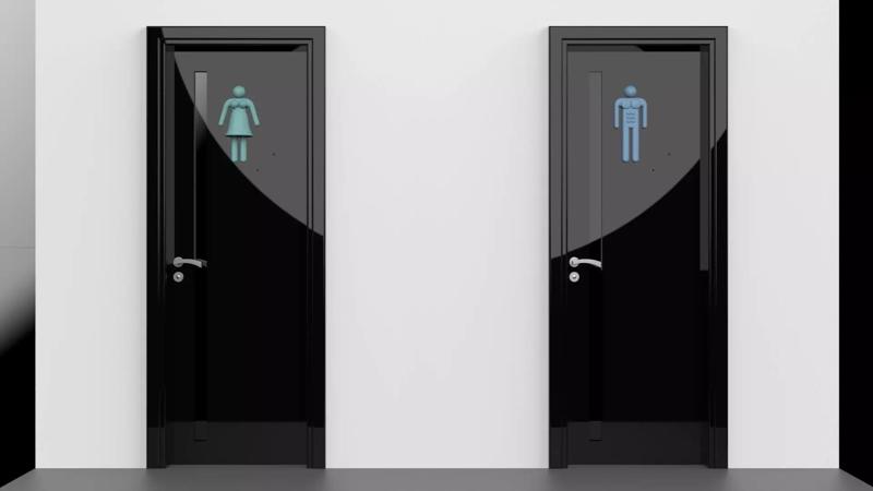 TOILET SIGN 3D