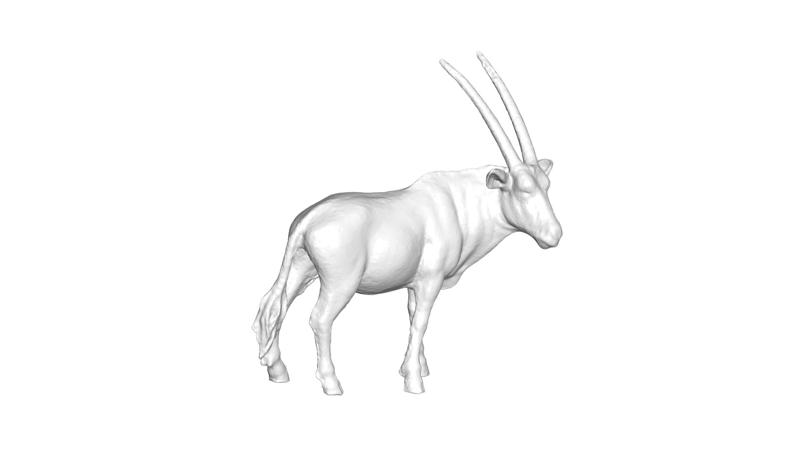 Oryx