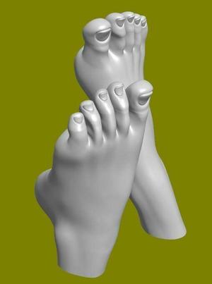 Women's Feet, Woman's Feet, Toenails