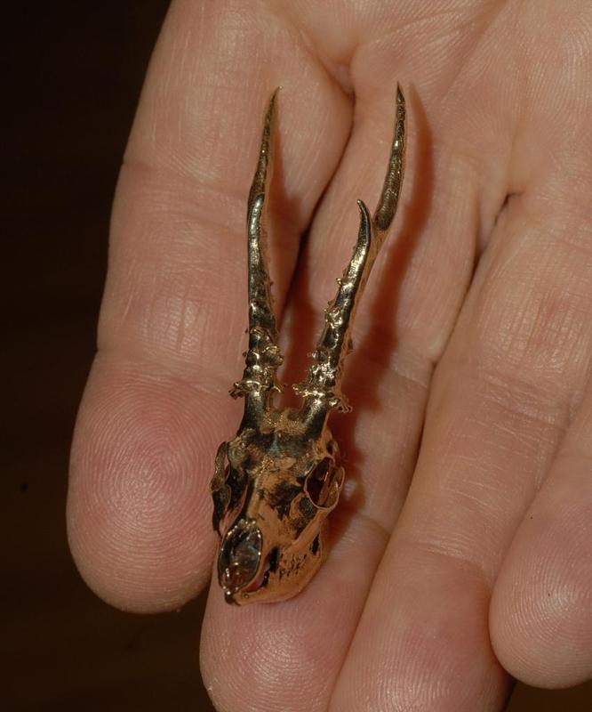 Roe Deer Antler Trophy