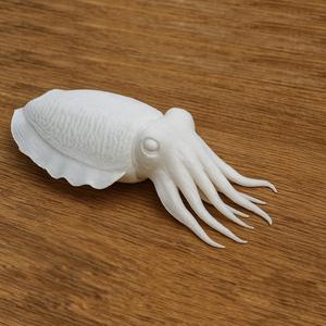 Cuttlefish Swim
