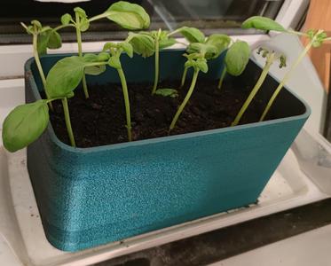 Basil planter/pot