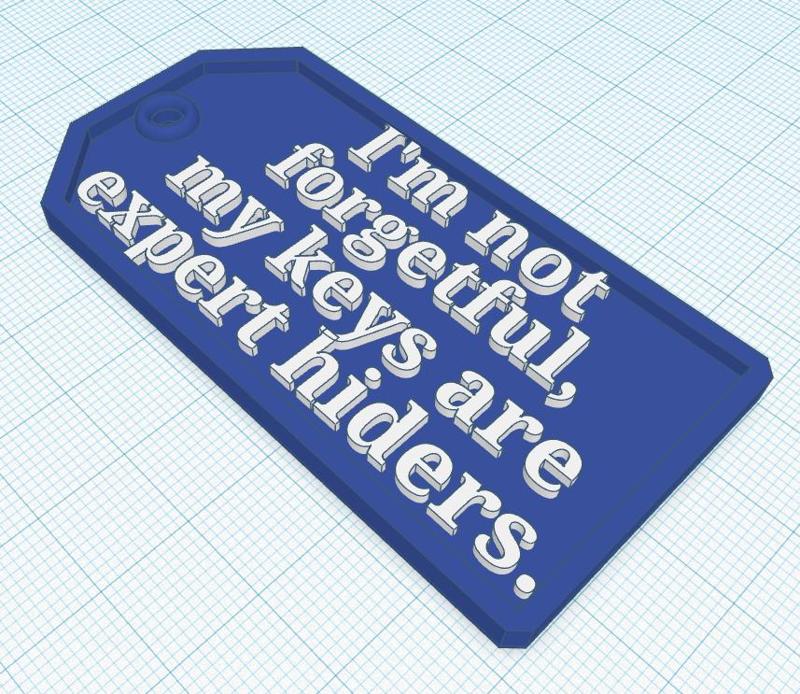 Key Ring "I'm not forgetful, my keys are just expert hiders."