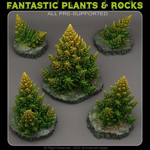 TOXIC ALIEN PINES