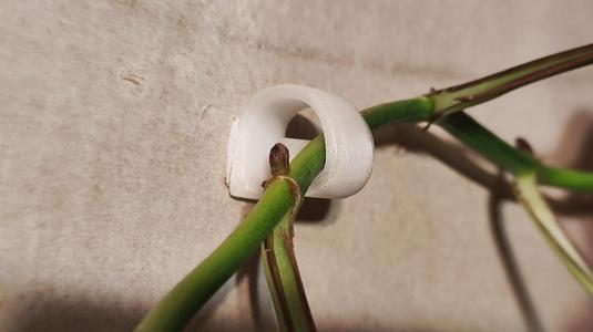 Plant clip/wall mount
